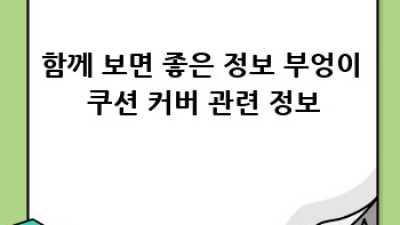 부엉이 쿠션 커버 오래오래 예쁘게 쓰는 방법